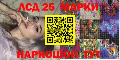гидра Кузнецк
