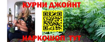 гидра Кузнецк