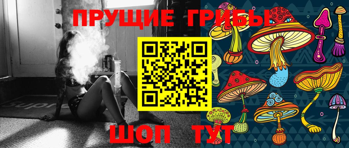 Псилоцибиновые грибы Psilocybe Лабинск